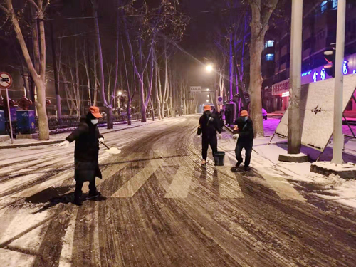 雪天里，洛陽公交人抗擊疫情的最美風景 